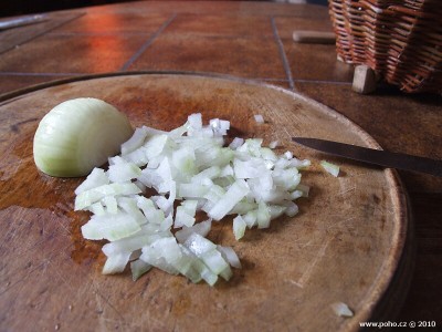 Cibulka